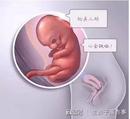 主任